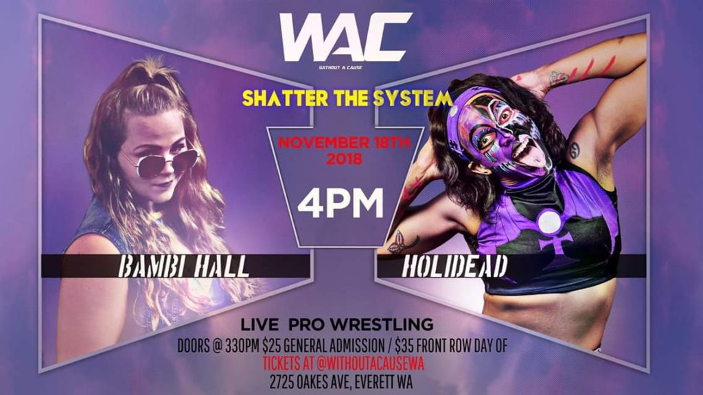 #Preview: Without A Cause: Shatter the System (11/18/18)