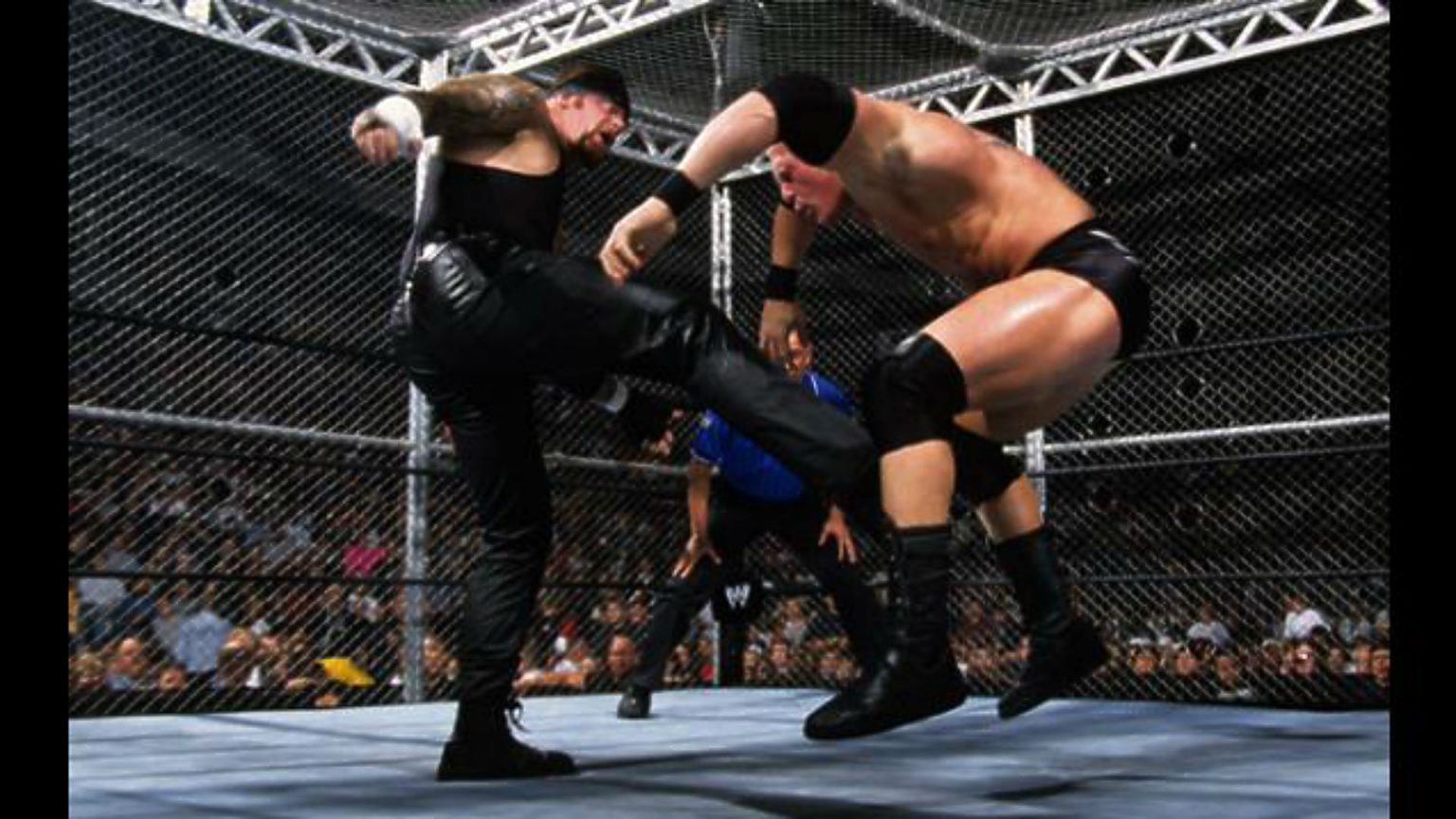 Brock Lesnar defeats The Undertaker in Hell in A Cell brock lesnar defeats the undertaker in hell in a cell