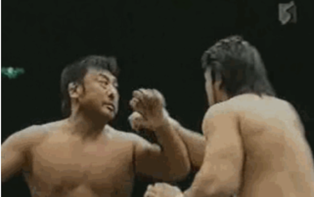 Katsuyori Shibata and Toshiaki Kawada