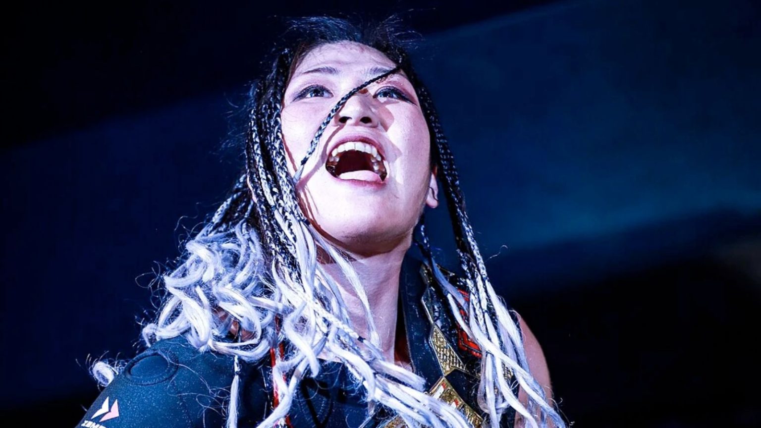 Rina Yamashita – The Rise of the International Deathmatch Amazon Rina Yamashita