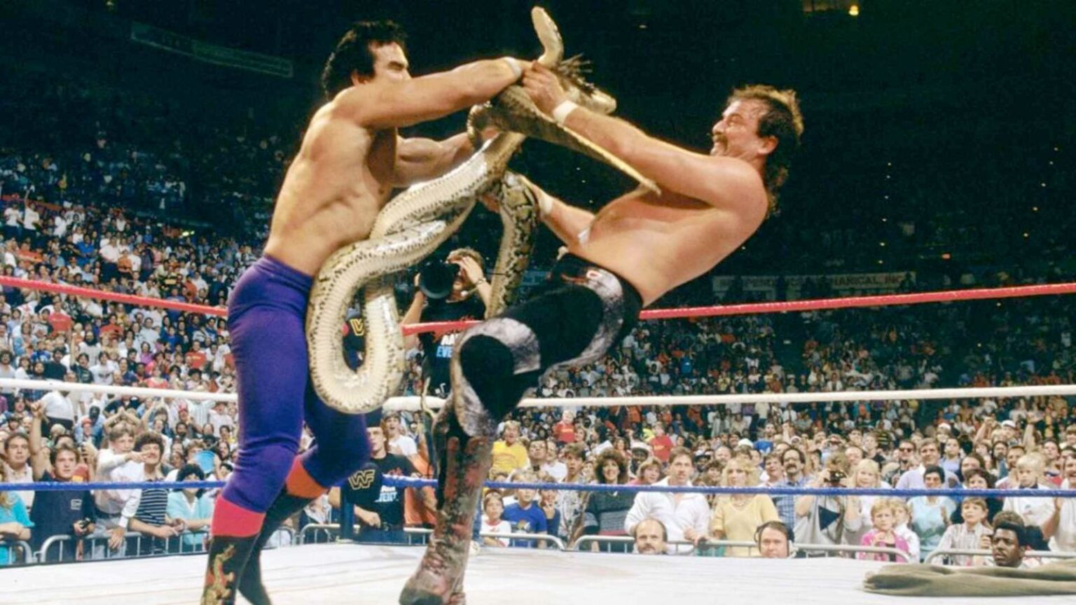 Ricky Steamboat and Jake Roberts