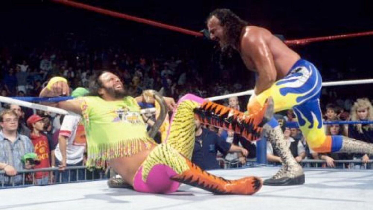 Randy Savage and Jake Roberts